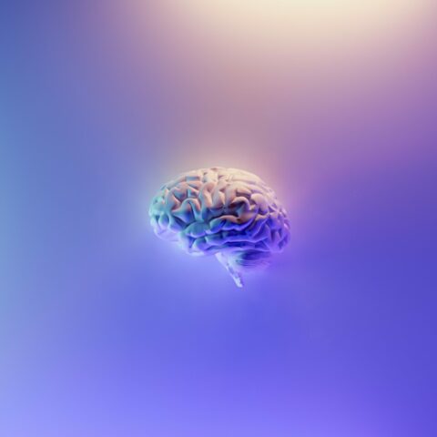 Abstract picture of a brain