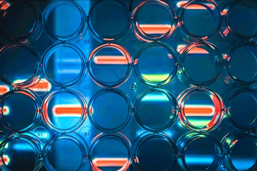 Vivid neon lights reflected through a transparent multi-well plate structure.