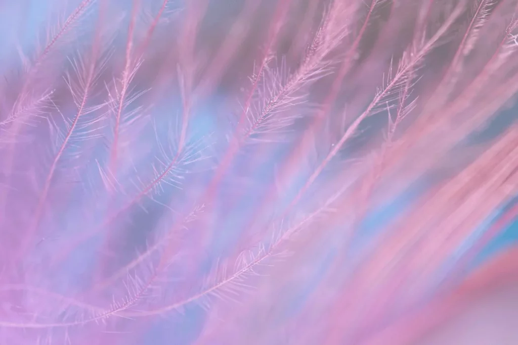 A soft, dreamy close-up of delicate pink and blue wisps, resembling feathery strands floating in the air.