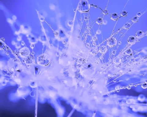 Abstract image of growth for HeyMarvin showing waterdrops