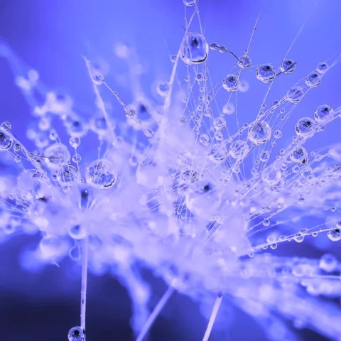 Abstract image of growth for HeyMarvin showing waterdrops